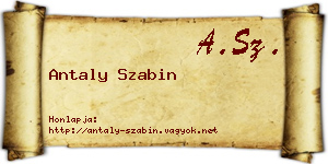 Antaly Szabin névjegykártya